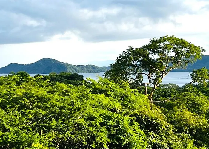 Casa Del Artista 4bed,4 Bath Ocean View