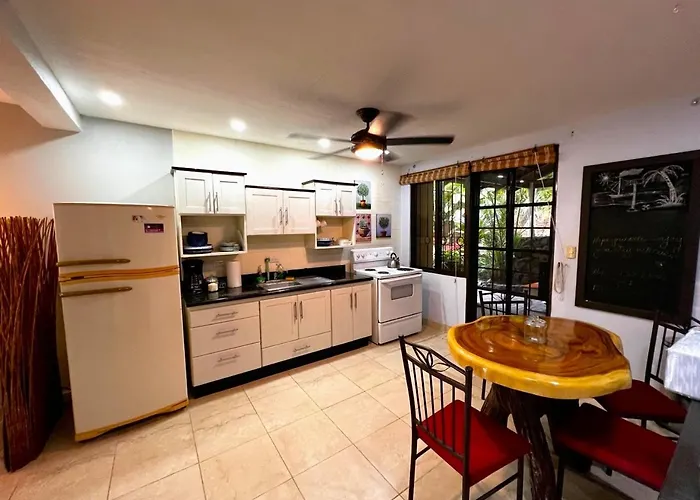 Casa Del Artista 4bed,4 Bath Ocean View